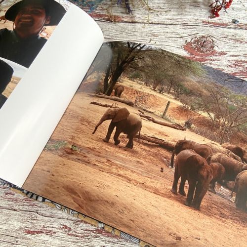 album-editorial-viaje
