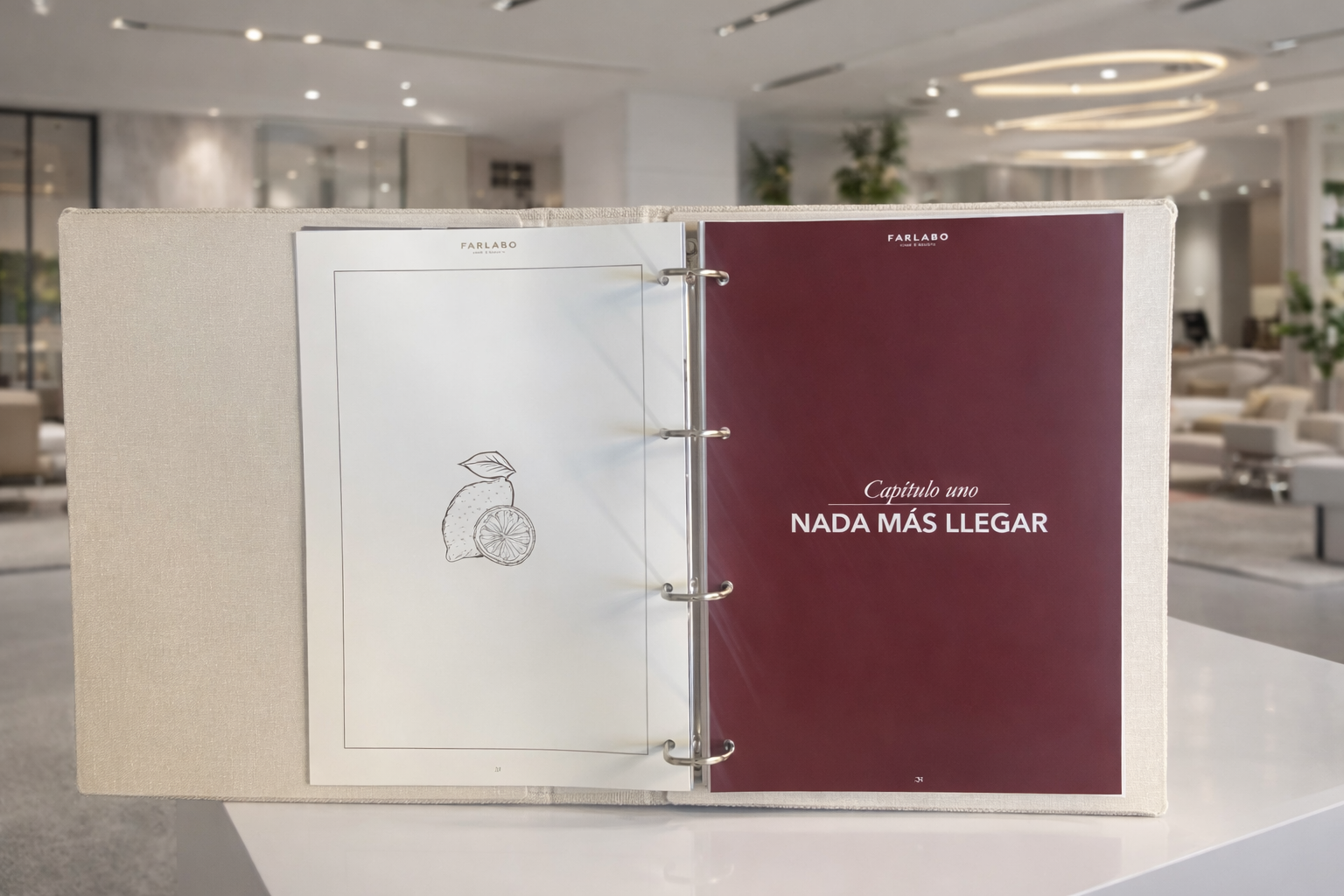 archivadores personalizados